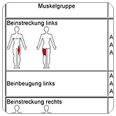 Analyse mit Fokus auf die Muskelgruppen
